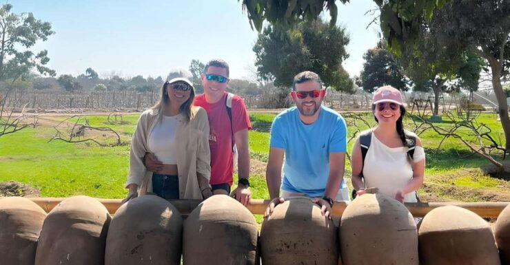 Excursion to Pisco and Wine Distilleries - Experience Highlights