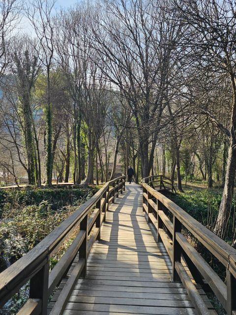 Excursion to Plitvice National Park - Pricing and Timing