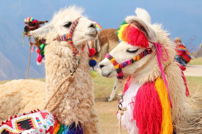 Excursion to Rainbow Mountain From Cusco Private Tour - Private Tour Guide and Accompaniment