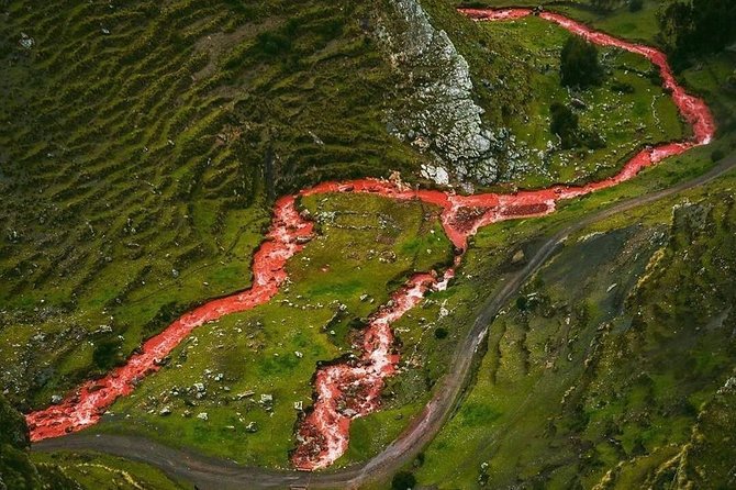 Excursion to Rainbow Mountain Palcoyo From Cusco. - Traveler Photos and Reviews