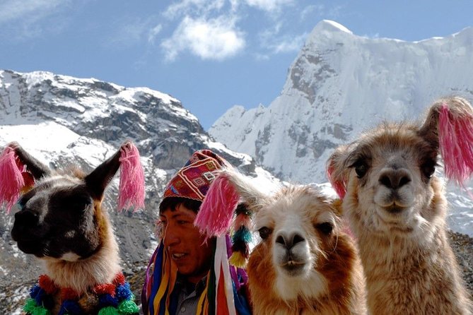 Excursion to Rainbow Mountain Palcoyo From Cusco. - Cancellation Policy