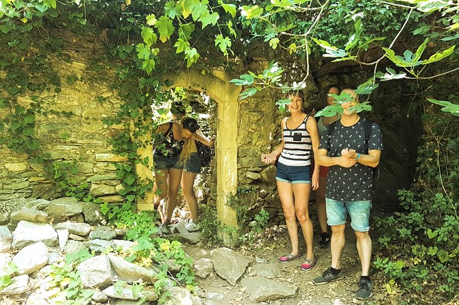 Excursion to Richtis Gorge & Waterfall - Traveler Reviews