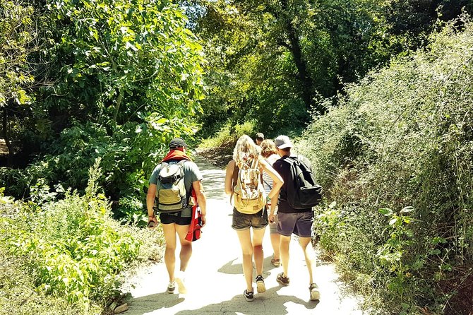 Excursion to Richtis Gorge & Waterfall - Route Information