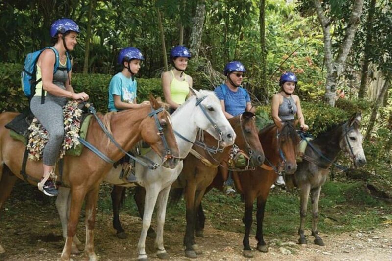 Excursion to Samaná, El Limón Waterfall and Bacardi Island from Punta Cana - Price & Value