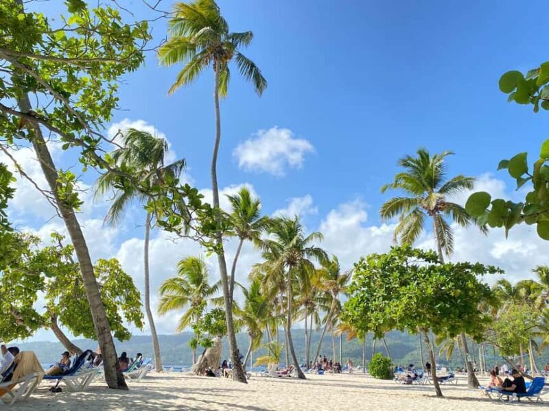 Excursion to Samaná, El Limón Waterfall and Bacardi Island from Punta Cana - Final Thoughts