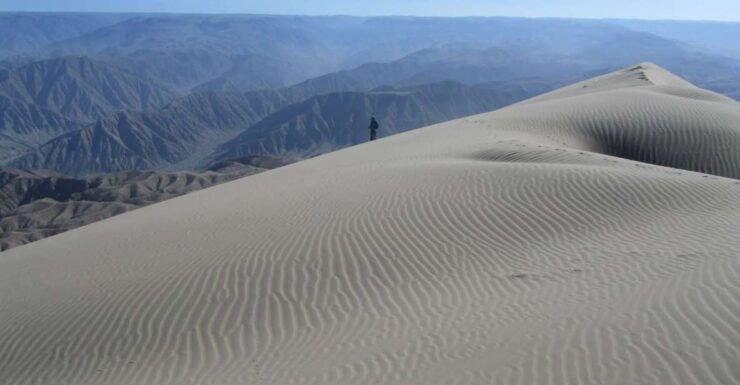 Excursion to San Fernando Bay Sandboarding in Nazca - Booking and Logistics