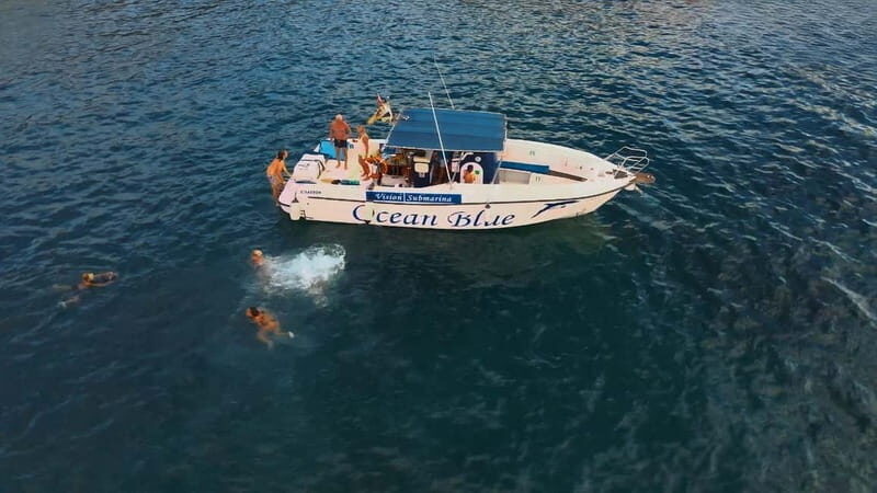 Excursion to see the whales - 3 Hours - Good To Know