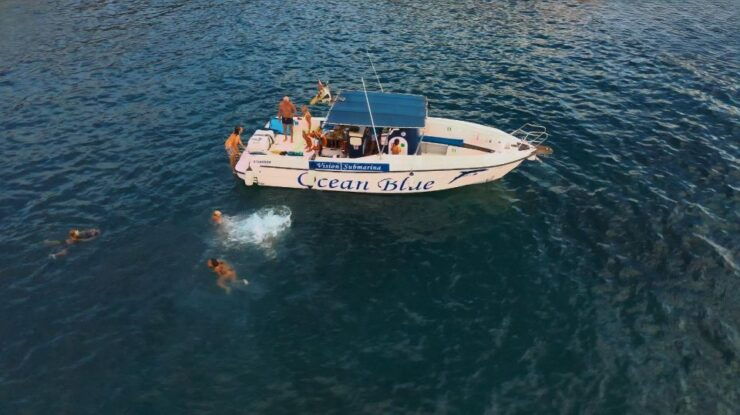 Excursion to See the Whales - 3 Hours - Highlights and Inclusions