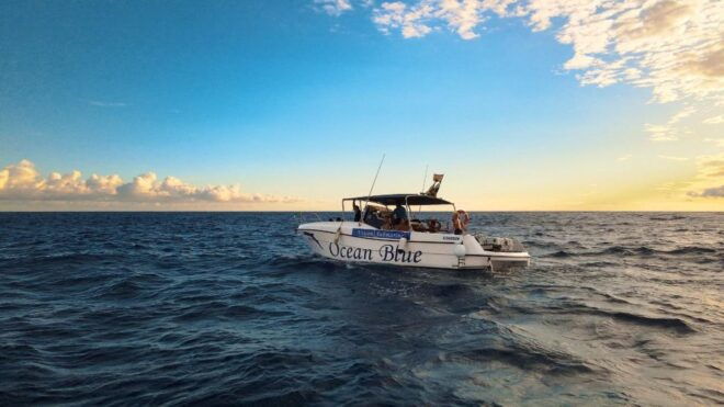 Excursion to See the Whales - 3 Hours - Directions