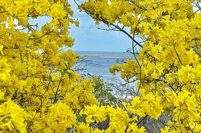 Excursion to Seru Largu Highest Viewing Point on Bonaire - Who Will Love This Tour