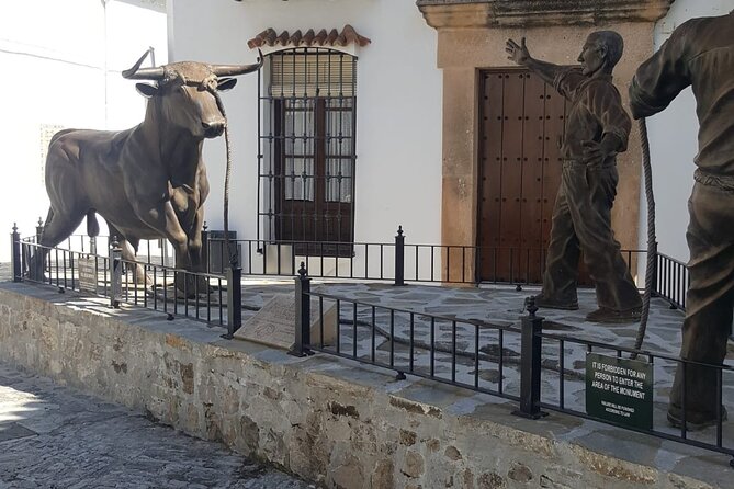 Excursion to Sierra De Cádiz White Villages - Inclusions and Optional Visits