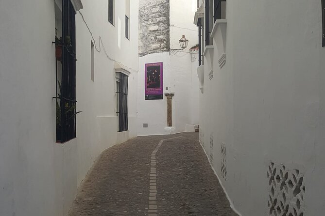 Excursion to Sierra De Cádiz White Villages - Maximum Travelers and Starting Time