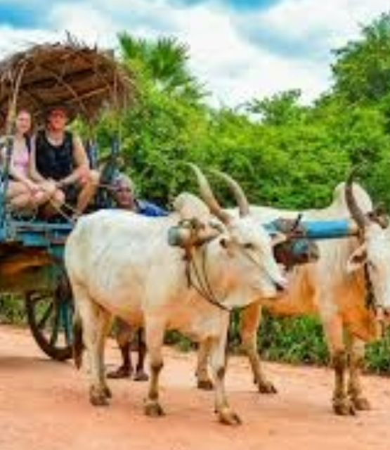 Excursion to Sigiriya Rock Fortress - Day Tour - Detailed Itinerary of Excursion