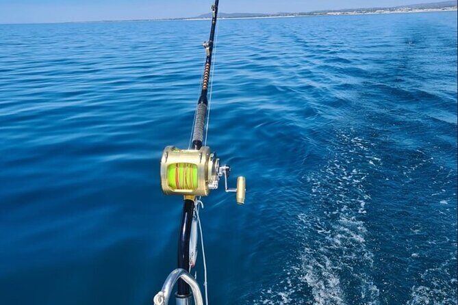 Excursion to Tavira - FAQ