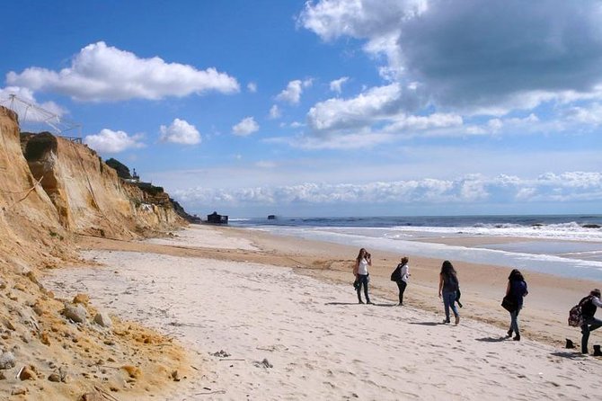 Excursion to the Beaches of Huelva From Seville - Private Tour - Directions