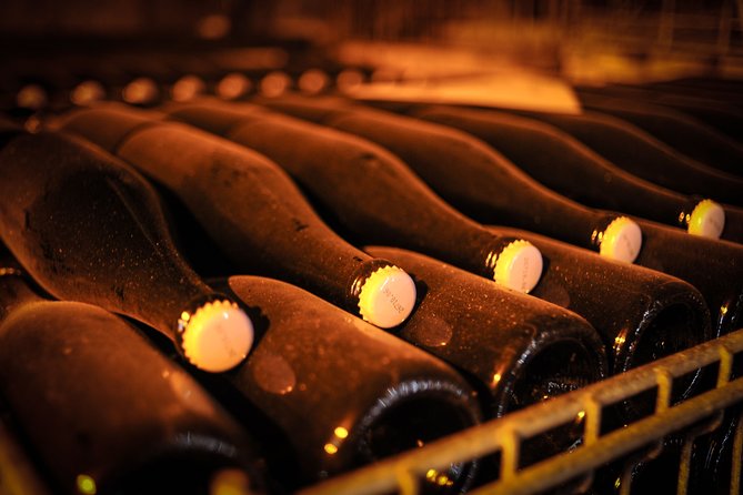 Excursion to the Champagne Region and Wine Tasting - Food Pairing: Elevating the Champagne Experience