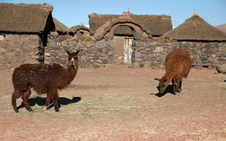 Excursion to the Chullpas of Sillustani: Mysterious Cemetery - Good To Know