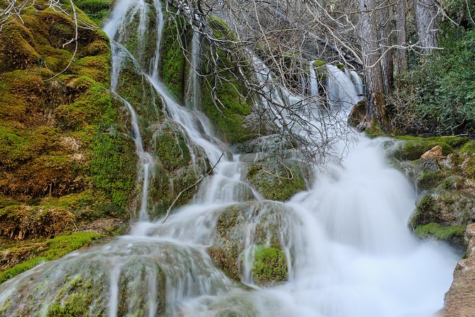 Excursion to the Enchanted City and the Birth of the Cuervo River From Cuenca - Response From Host