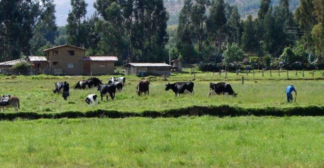 Excursion to the La Colpa Hacienda and Baños Del Inca. - Highlights of the Excursion