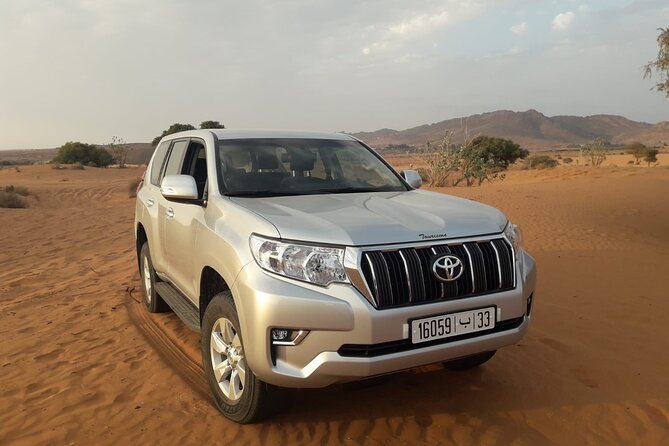 Excursion to the Little Sahara, Visit Tiznit, Tifnit, & Massa. - Tiznit: Exploring the Ancient City