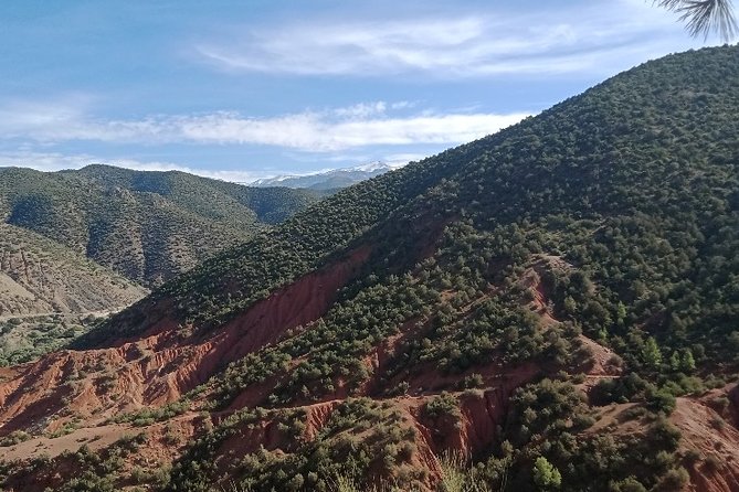 Excursion to the Ourika Valleys From Marrakech - Meeting Point Details