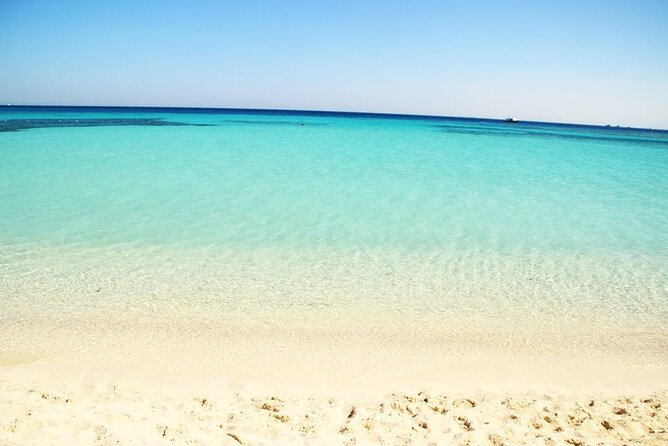 Excursion to the White Island & Ras Mohammed National Park From Sharm El Sheikh - Cancellation Policy