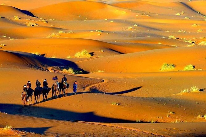 Excursion to the Zagora Desert 1 Night - Excursion Overview