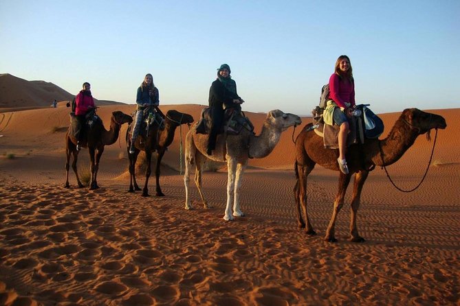 Excursion to the Zagora Desert 1 Night - Itinerary Details