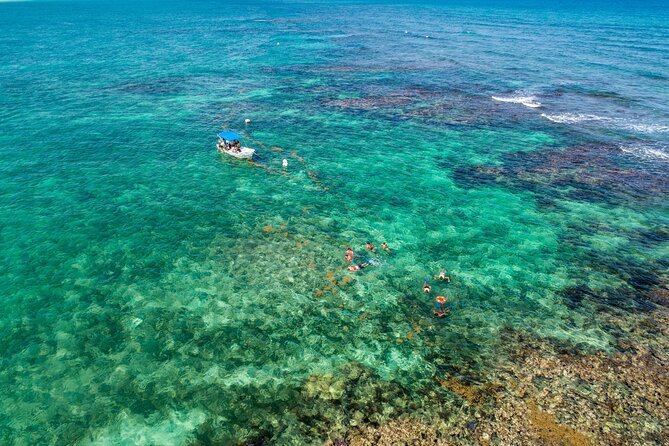 Excursion to Tulum Cenote and Swim With Turtles From Riviera Maya - Traveler Photos and Reviews