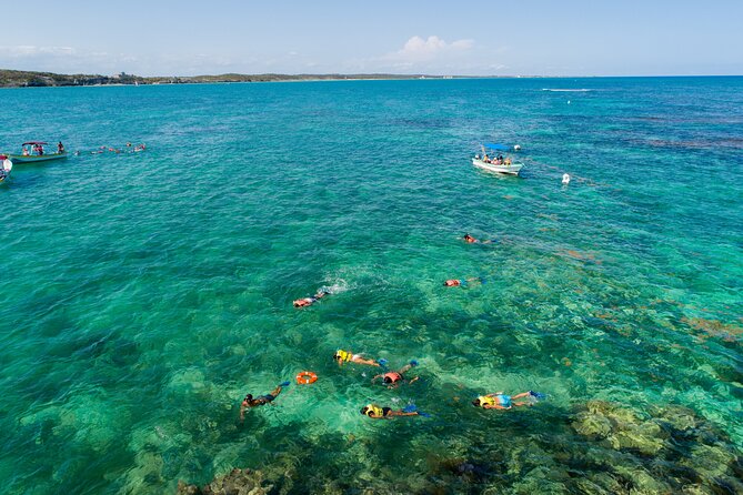 Excursion to Tulum Cenote and Swim With Turtles From Riviera Maya - Questions and Help Center