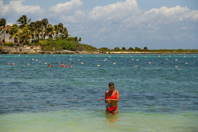 Excursion to Tulum Cenote and Swim With Turtles From Riviera Maya - Swimming With Turtles in Riviera Maya