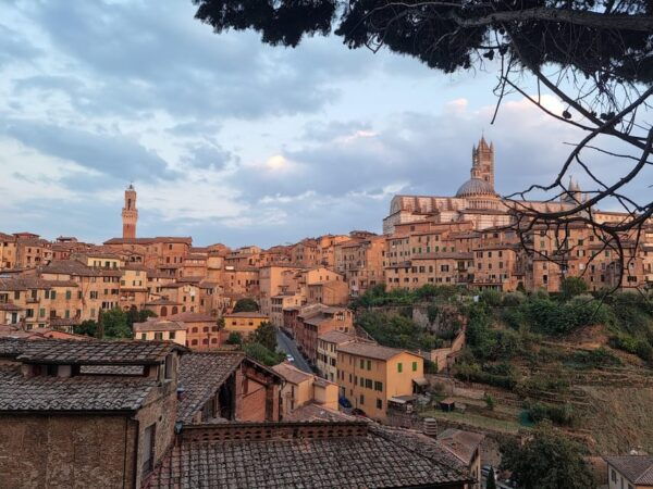 Excursion to Tuscany With Wine Tasting in a Winery From Rome - Tips for a Great Experience