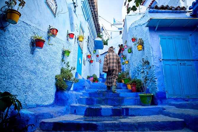 Excursions From Fez to Chefchaouen - The Sum Up