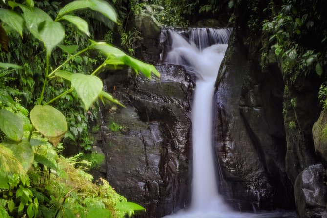 Excursions in the North or in the South of Martinique - North Vs South Martinique Excursions