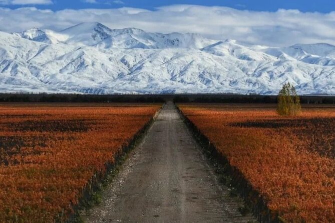 Executive Transfers From Mendoza Airport to the Hotel in Downtown Mendoza. - Booking Directions