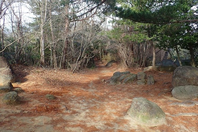 Exercise at Seto Inland Sea National Park, 1 Day Hiking on Mt. Rokko - Cancellation Policy and Refund Details