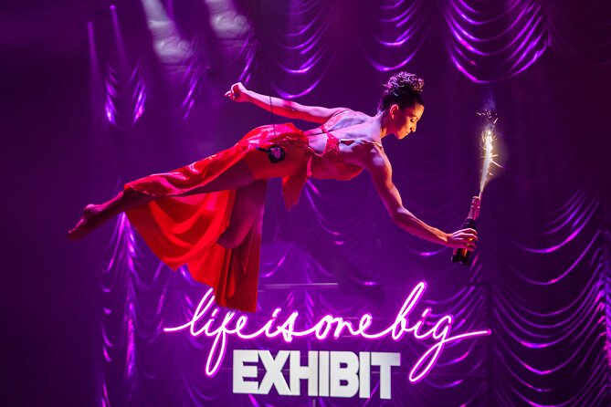 EXHIBIT - Acrobatics, Dance & Art - Venue Accessibility