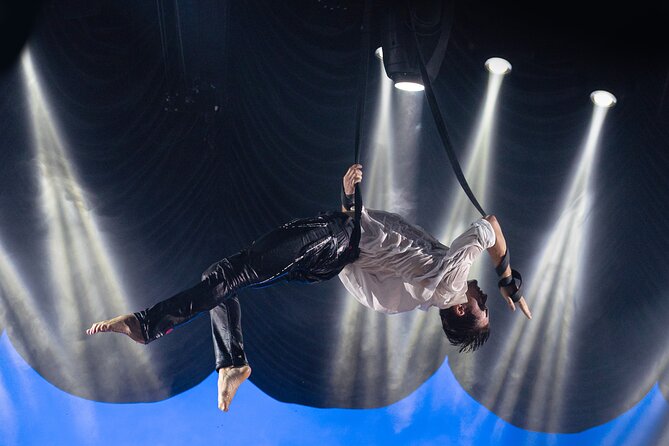 EXHIBIT - Acrobatics, Dance & Art - Guest Experiences