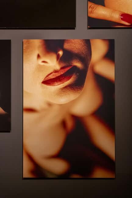 Exhibition David Lynch: Up in Flames - FAQ