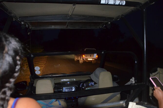 Exhilarating 7 Day Kruger Safari Adventure - South to North - Cultural Experiences