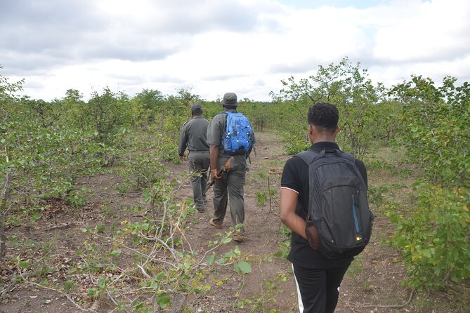 Exhilarating 7 Day Kruger Safari Adventure - South to North - Packing and Preparation