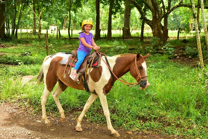 Exhilarating Adventure: Horseback, Waterfall, and More - Good To Know