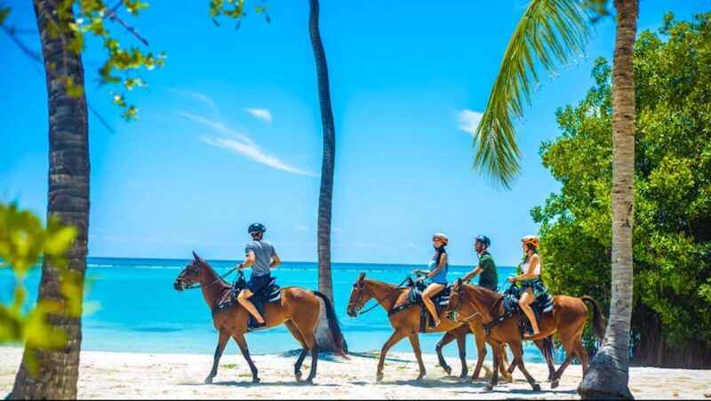 Exhilarating Buggy Tours: Discover Punta Cana Scenic Wonders - Who Will Love This Experience?