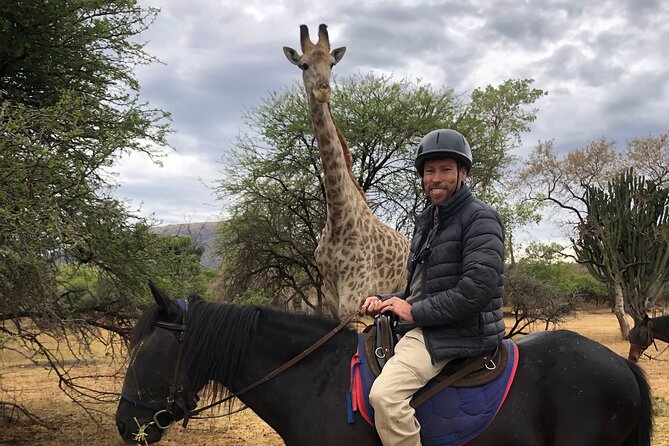 Exhilarating Horseback Safari Departing From Johannesburg - Itinerary