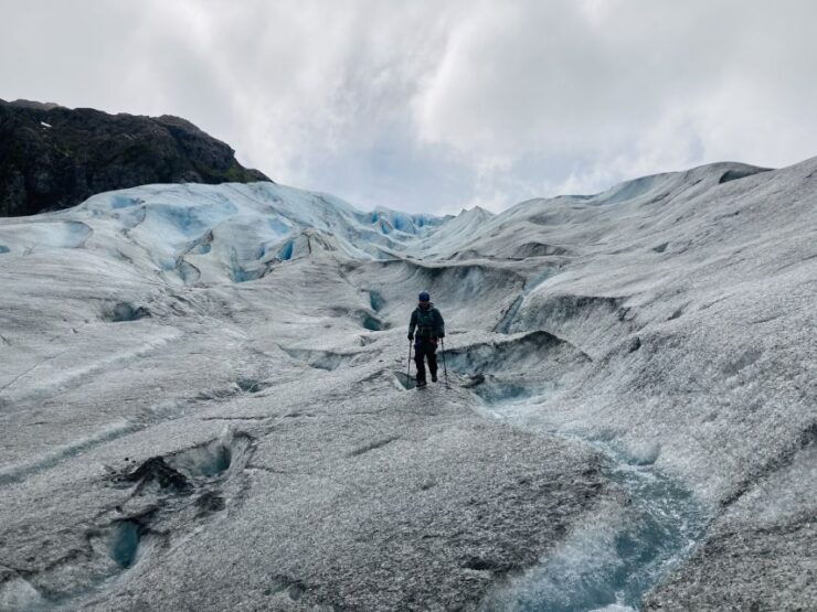 Exit Glacier Ice Hiking Adventure From Seward - Experience Highlights