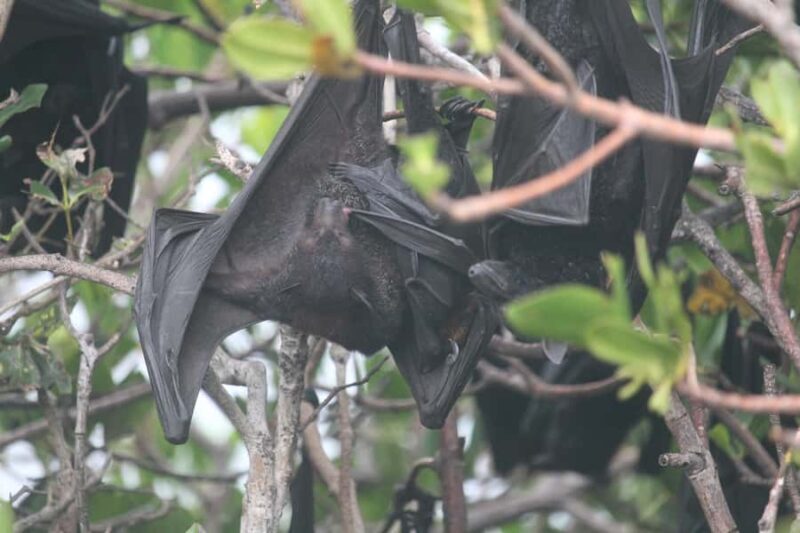 Exmouth: Full day Ningaloo in a Day tour - Final Thoughts