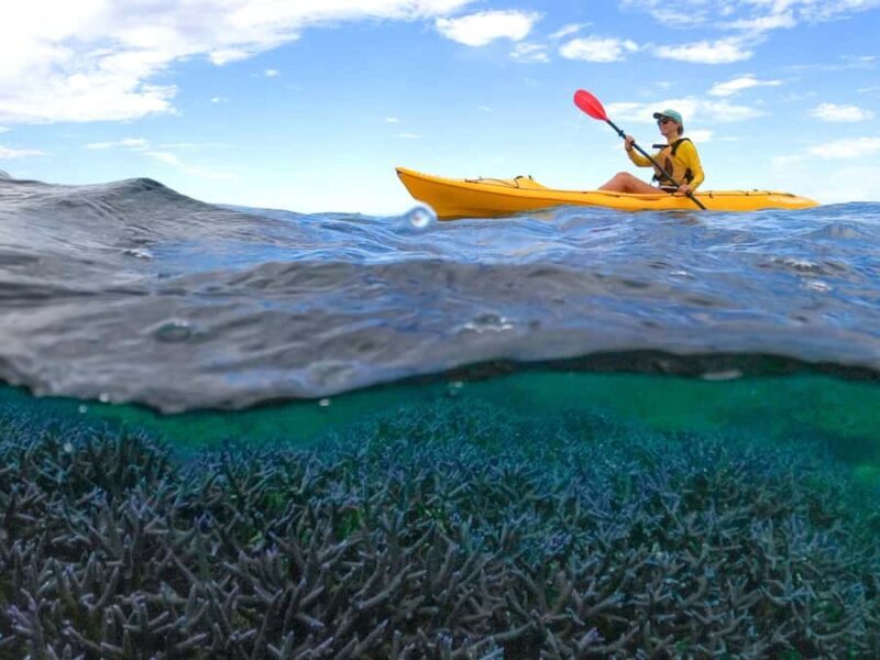 Exmouth: Half Day Coral by Kayak tour - Good To Know