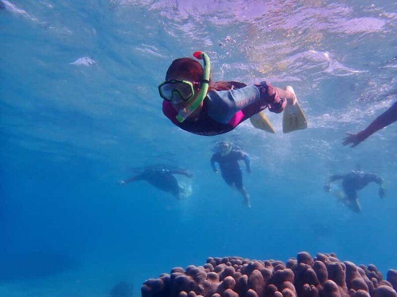 Exmouth: Half Day Coral by Kayak tour - FAQ Section