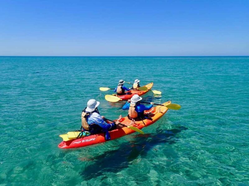 Exmouth: Half Day Turtle Kayak & Snorkel Tour - Exmouth: Half Day Turtle Kayak & Snorkel Tour Review