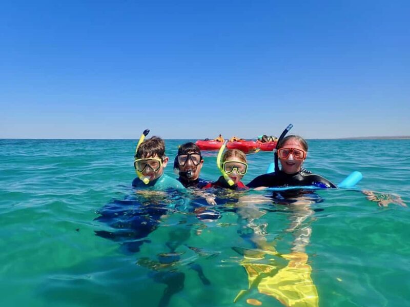 Exmouth: Half Day Turtle Kayak & Snorkel Tour - Who Will Love This Tour?